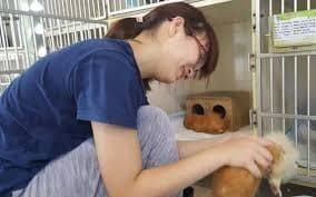 Lend a helping hand
